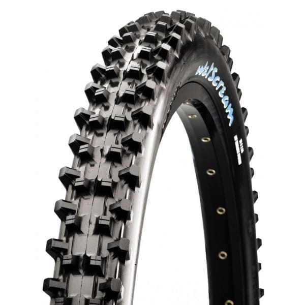 maxxis wetscream 29